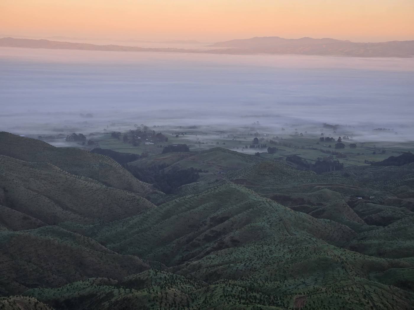 Morning mist settling over the rolling Waikato hills