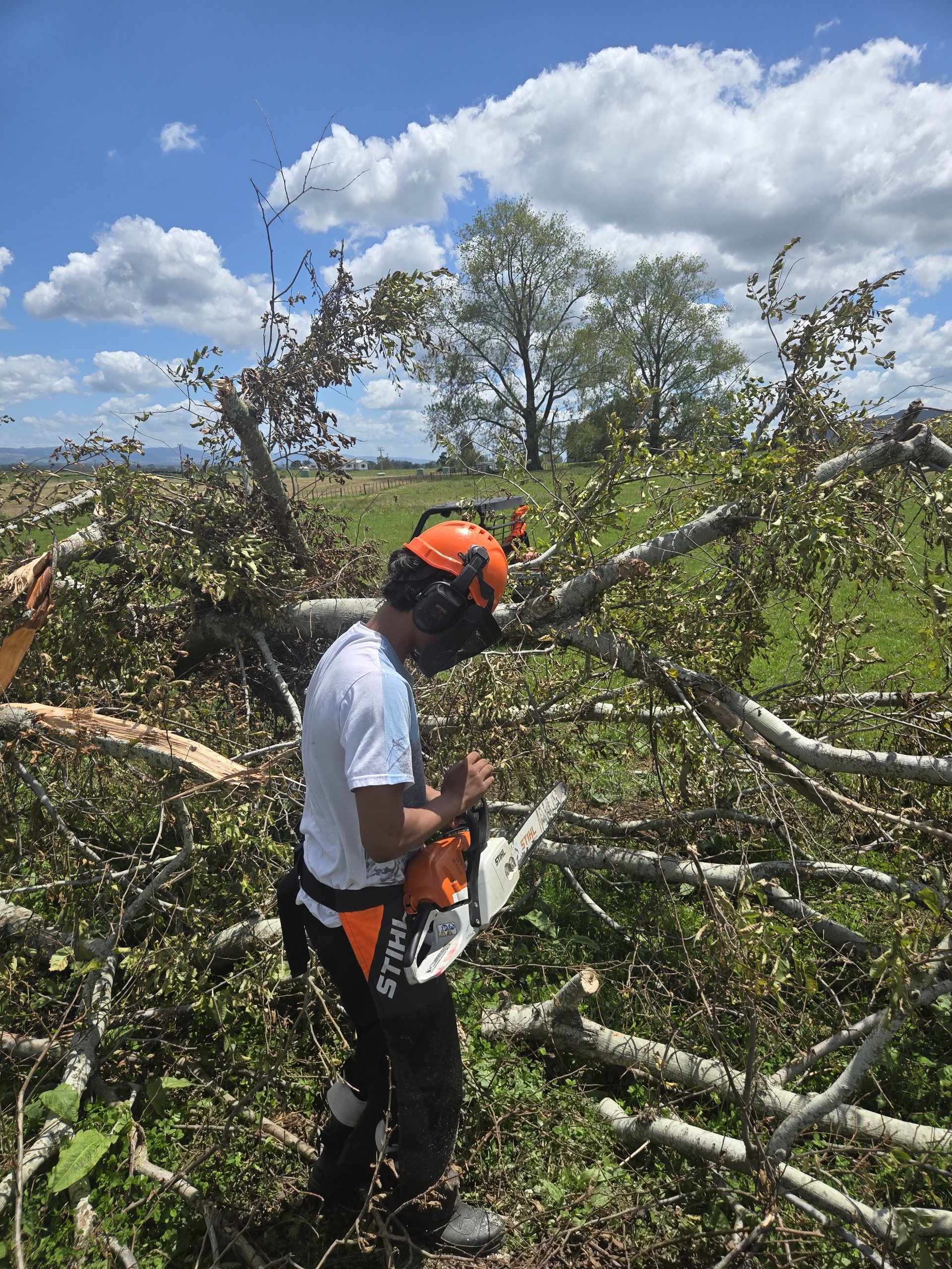 Work experience — clearing fallen branches on the farm