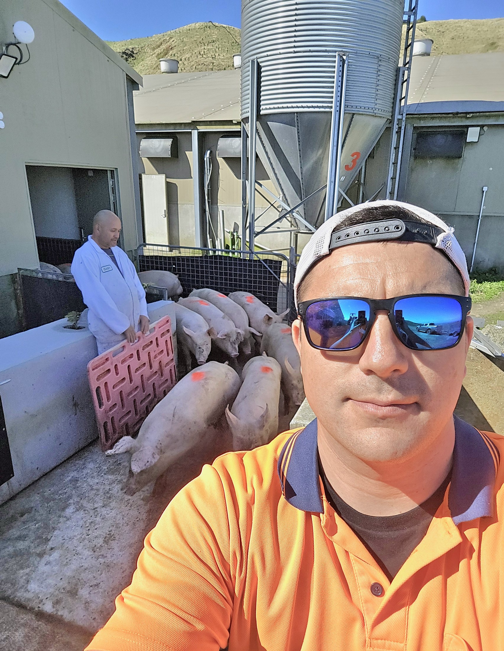 A team member's selfie with Gary moving pigs near the feed silos at Rawhiti