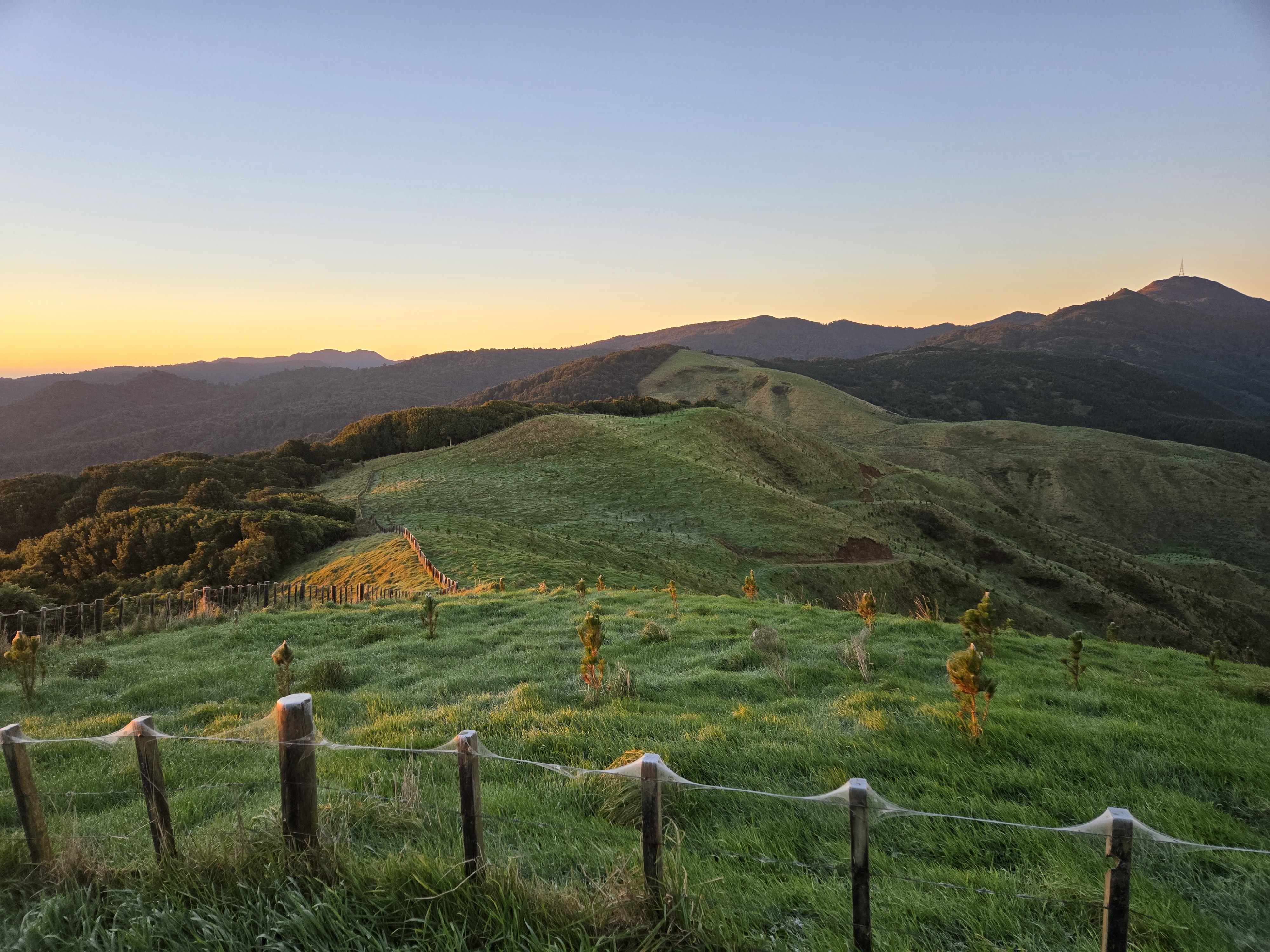 On the farm at Rawhiti