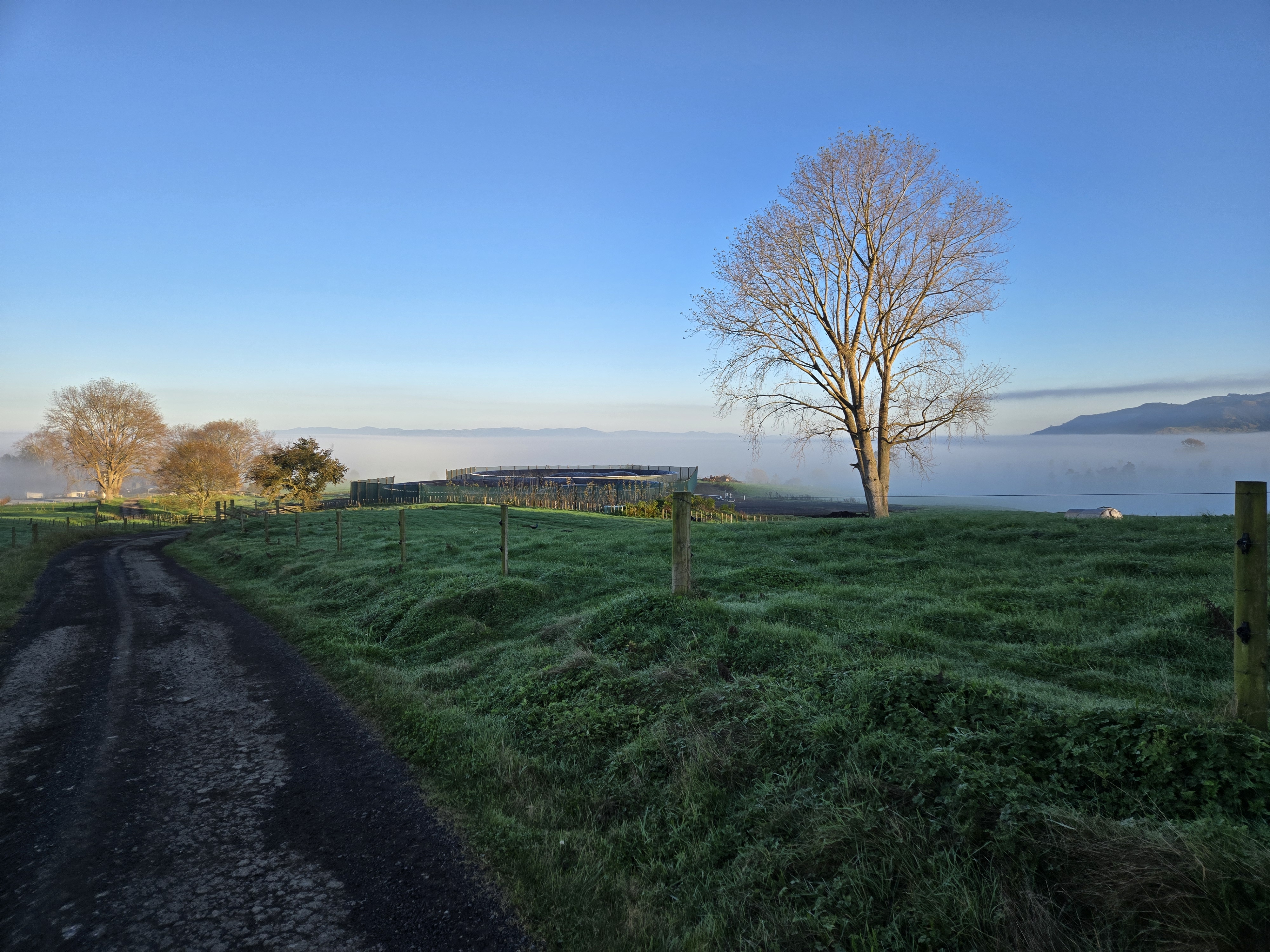 Rawhiti farm landscape